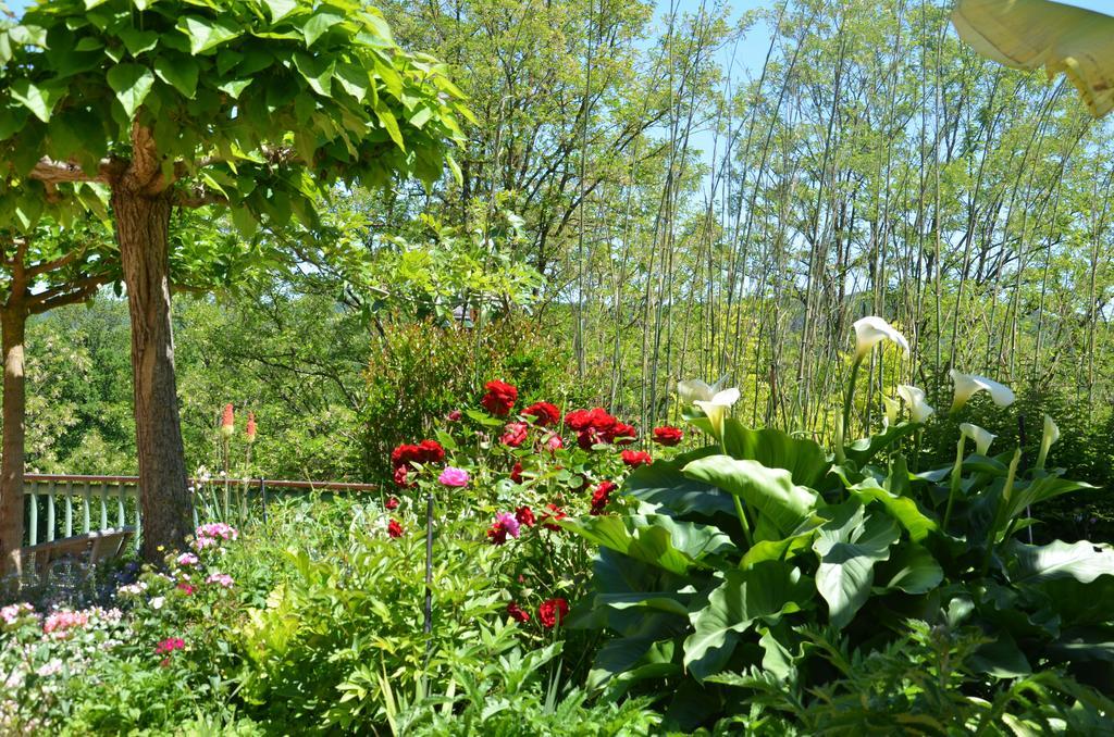 La Gueriniere Bed & Breakfast Cenac-et-Saint-Julien Bagian luar foto