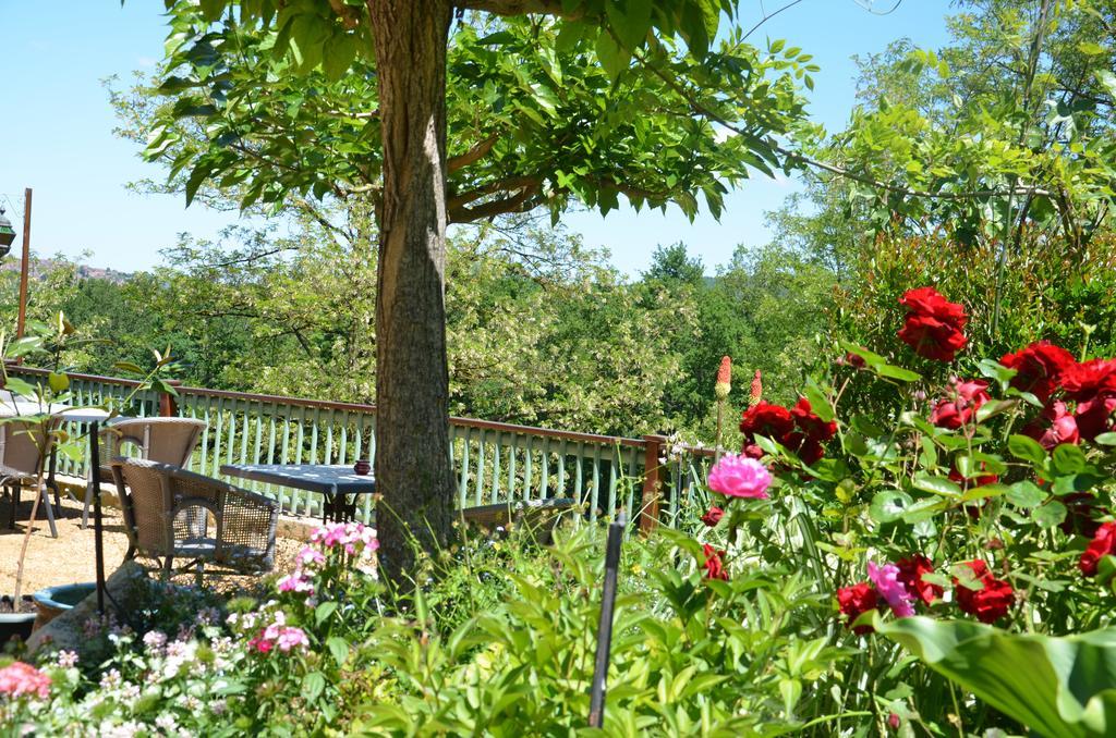 La Gueriniere Bed & Breakfast Cenac-et-Saint-Julien Bagian luar foto