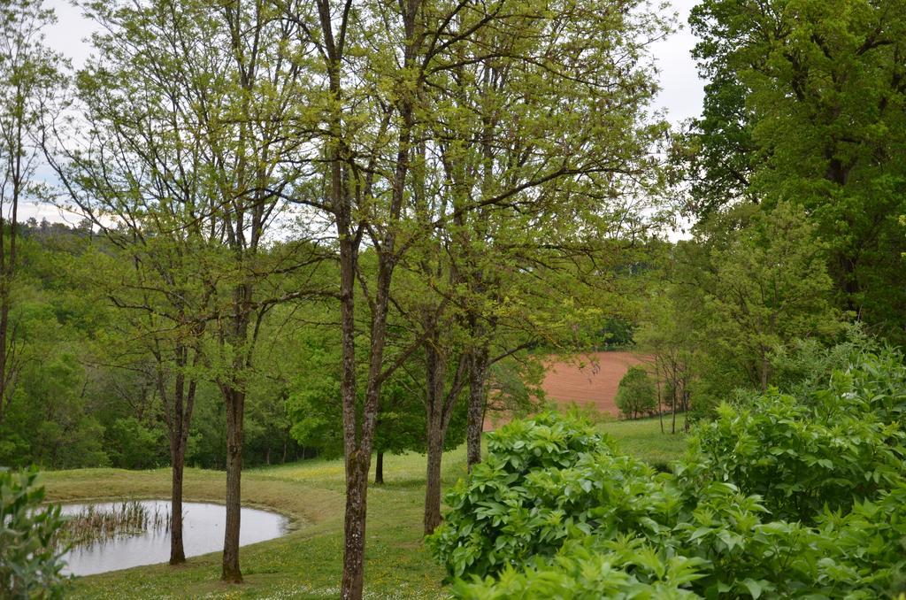 La Gueriniere Bed & Breakfast Cenac-et-Saint-Julien Bagian luar foto