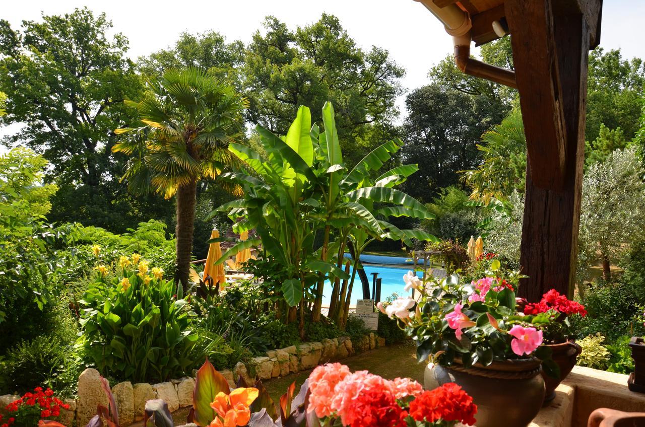 La Gueriniere Bed & Breakfast Cenac-et-Saint-Julien Bagian luar foto