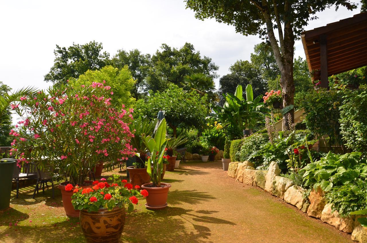 La Gueriniere Bed & Breakfast Cenac-et-Saint-Julien Bagian luar foto